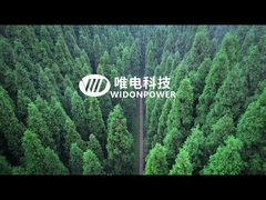 Introducción de la compañía